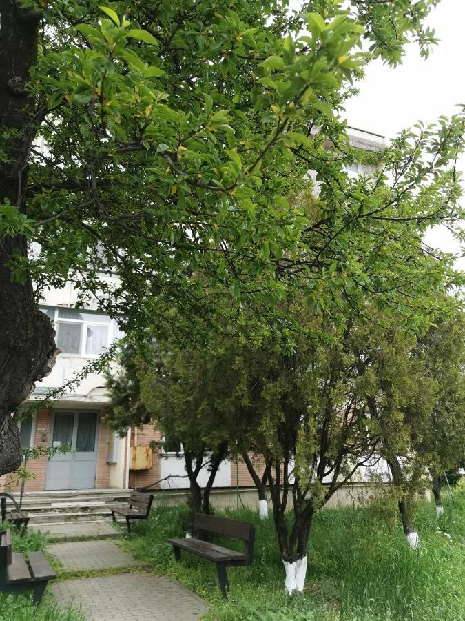 Apartament Asr 피아트라네암츠 외부 사진