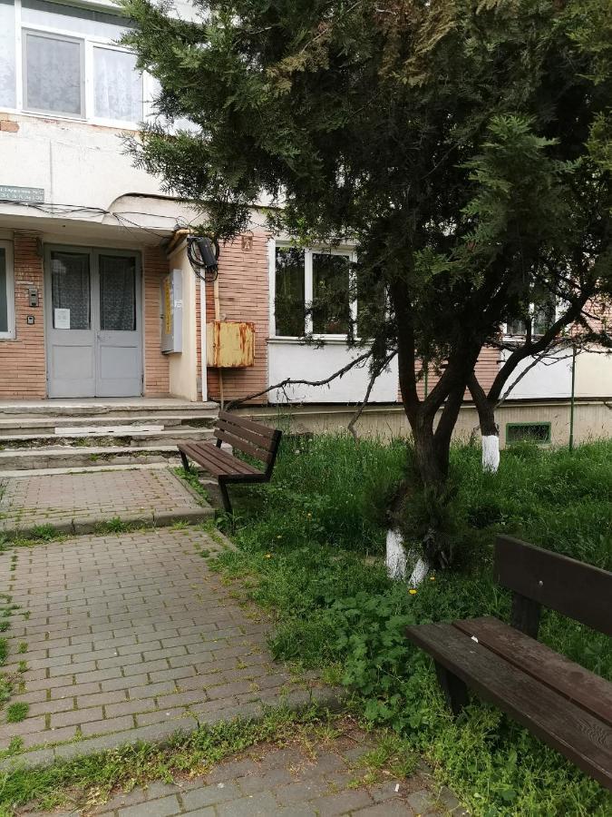 Apartament Asr 피아트라네암츠 외부 사진